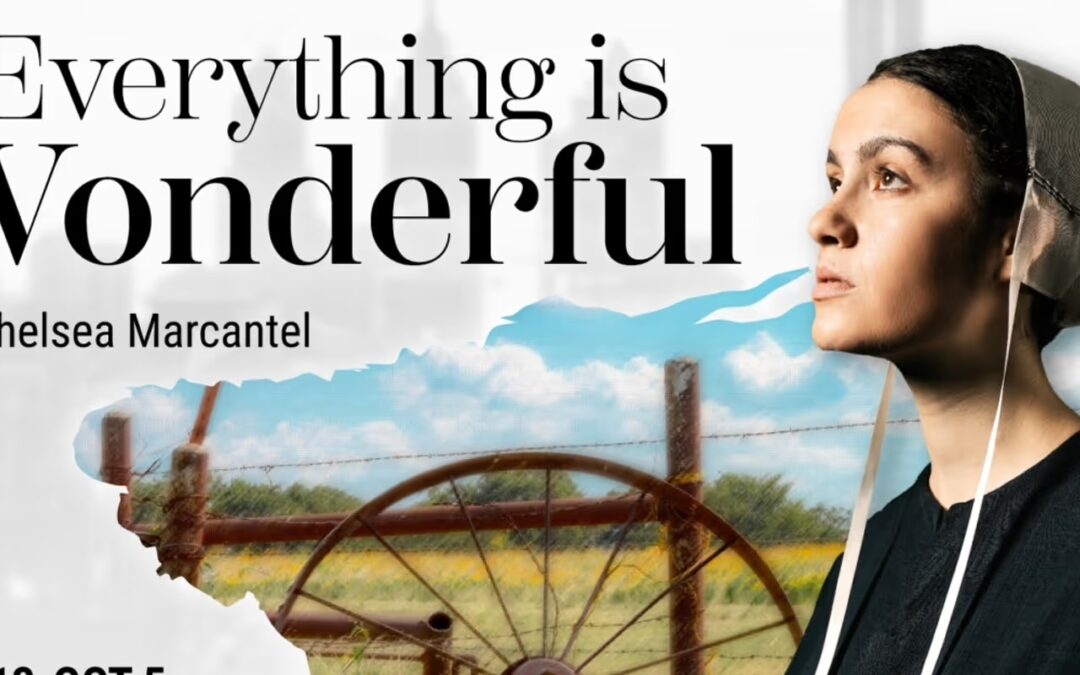 Keegan Theatre Reveals Cast and Team For EVERYTHING IS WONDERFUL | Broadway World